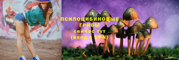 COCAINE Алексеевка