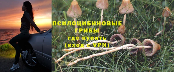 прущий лед Алзамай