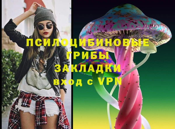 прущий лед Алзамай