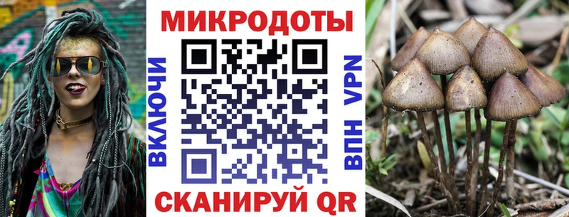 Псилоцибиновые грибы Cubensis  Гусь-Хрустальный 