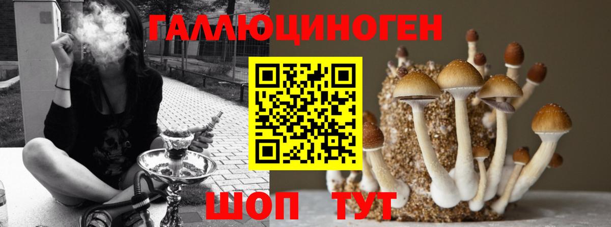 наркотики  Вход с VPN  Гусь-Хрустальный  Галлюциногенные грибы мицелий  Псилоцибиновые грибы Magic Shrooms 