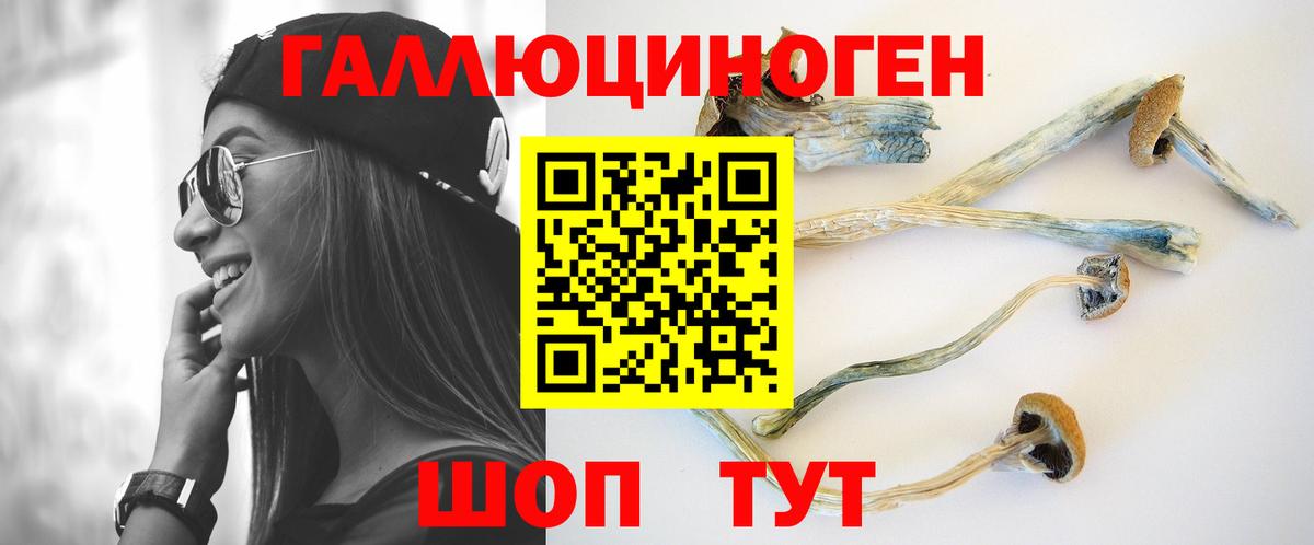 Псилоцибиновые грибы Psilocybine cubensis Гусь-Хрустальный